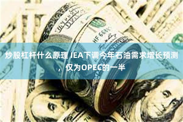 炒股杠杆什么原理 IEA下调今年石油需求增长预测，仅为OPEC的一半