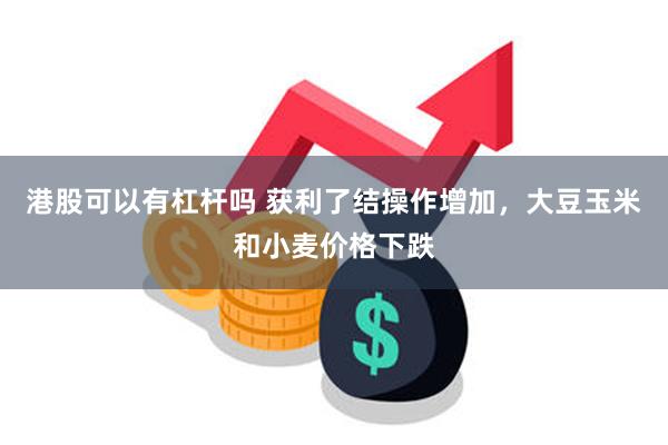 港股可以有杠杆吗 获利了结操作增加，大豆玉米和小麦价格下跌