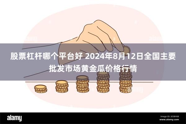 股票杠杆哪个平台好 2024年8月12日全国主要批发市场黄金瓜价格行情