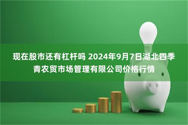 现在股市还有杠杆吗 2024年9月7日湖北四季青农贸市场管理有限公司价格行情