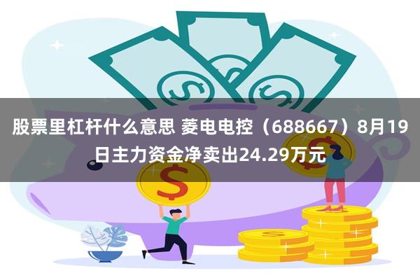 股票里杠杆什么意思 菱电电控（688667）8月19日主力资金净卖出24.29万元