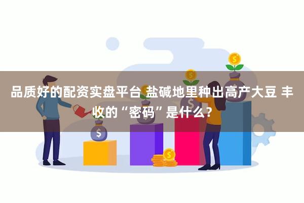 品质好的配资实盘平台 盐碱地里种出高产大豆 丰收的“密码”是什么？