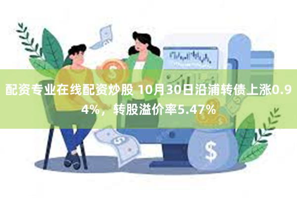 配资专业在线配资炒股 10月30日沿浦转债上涨0.94%，转股溢价率5.47%