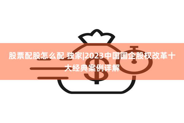 股票配股怎么配 独家|2023中国国企股权改革十大经典案例详解