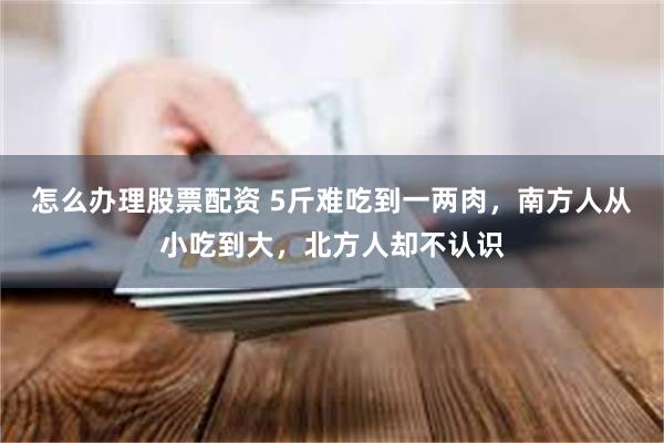 怎么办理股票配资 5斤难吃到一两肉，南方人从小吃到大，北方人却不认识